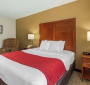 Comfort Inn & Suites Rapid City South - Mt. Rushmore Gateway hotel detail image 7