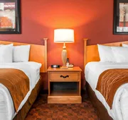 Comfort Inn & Suites and Conference Center hotel detail image 7