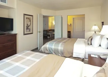 Staybridge Suites Sacramento Airport Natomas, an IHG Hotel hotel thumbnail 7