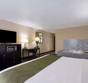 Quality Inn & Suites Big Rapids near University hotel detail image 4