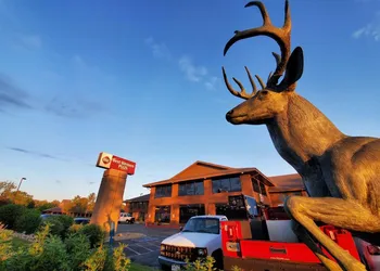 Best Western Plus Plaza Hotel hotel thumbnail 3