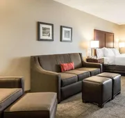 Comfort Inn Ottawa Starved Rock Area hotel detail image 4