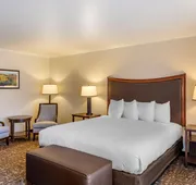 Best Western Plus Royal Oak Hotel hotel detail image 7