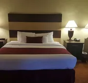 Best Western Pine Springs Inn hotel detail image 7
