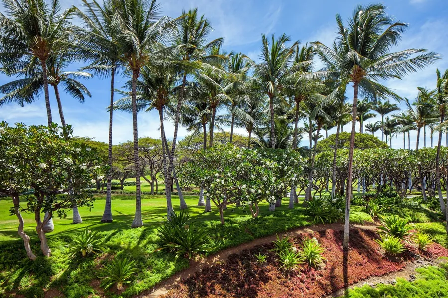The Westin Hapuna Beach Resort hotel detail image 2