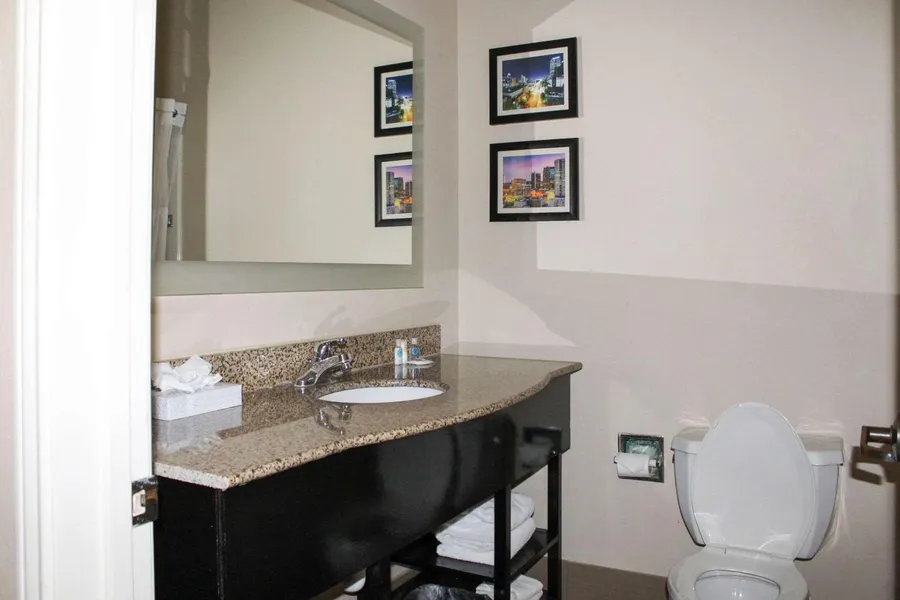 Comfort Inn & Suites Fultondale Gardendale I-65 hotel detail image 2