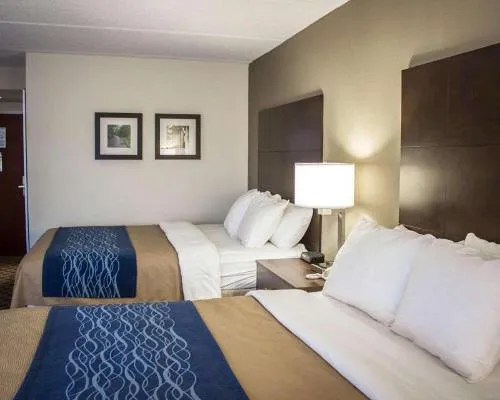 Comfort Inn & Suites Fuquay Varina hotel detail image 6