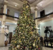 Menger Hotel hotel detail image 4