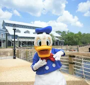 Disney's Port Orleans Resort - Riverside hotel detail image 4