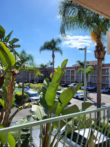 Cortona Inn & Suites Anaheim Resort hotel detail image 2