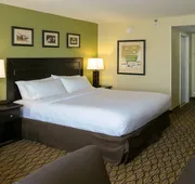 Holiday Inn Fort Myers - Downtown Area by IHG hotel detail image 7