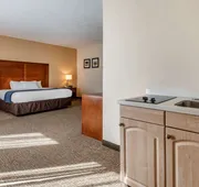 Comfort Inn Apalachin / Binghamton W Route 17 hotel detail image 4