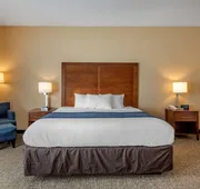 Comfort Inn Apalachin / Binghamton W Route 17 hotel detail image 7