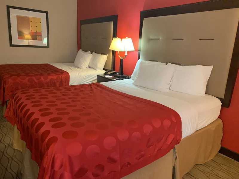 Comfort Inn & Suites hotel detail image 6