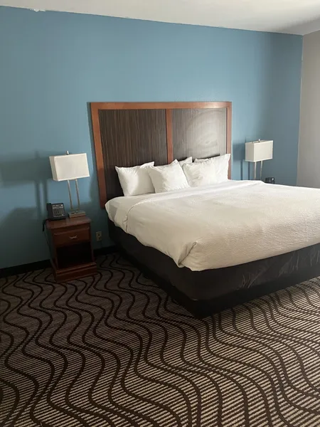 La Quinta Inn & Suites Mathis hotel detail image 6