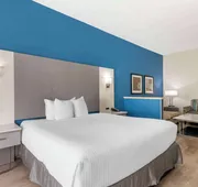 Best Western Plus Lake Lanier/gainesville Hotel & Suites hotel detail image 7