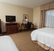 Hampton Inn Oneonta hotel detail image 4