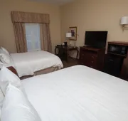 Hampton Inn Oneonta hotel detail image 5