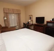 Hampton Inn Oneonta hotel detail image 7
