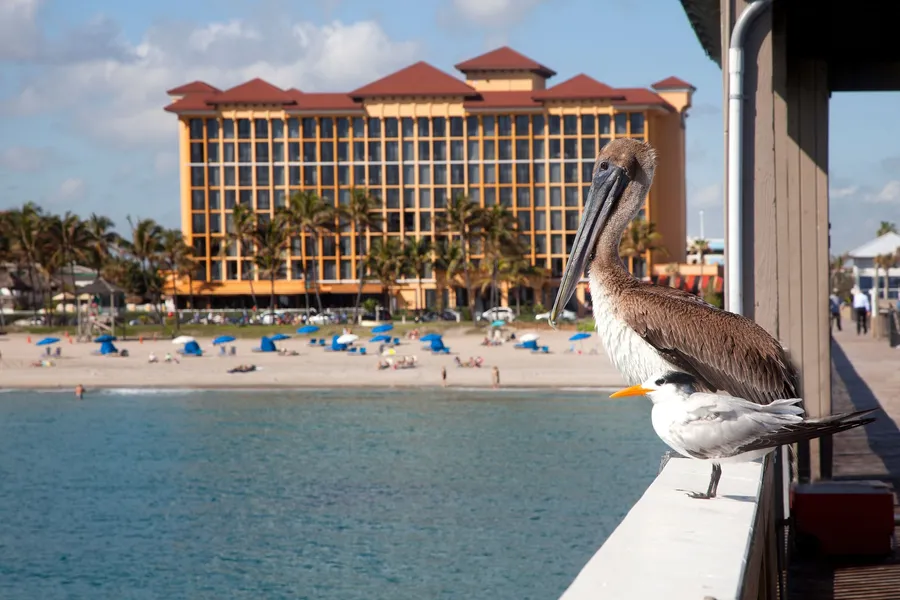 Wyndham Deerfield Beach Resort hotel detail image 2