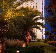 IP Casino Resort Spa - Biloxi hotel detail image 3