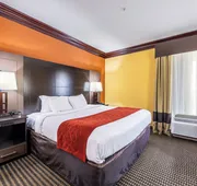Comfort Suites Lake Jackson Clute hotel detail image 4