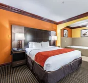 Comfort Suites Lake Jackson Clute hotel detail image 7