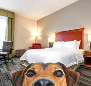 Hampton Inn by Hilton Bowling Green hotel detail image 7