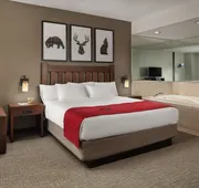 Great Wolf Lodge Grapevine hotel detail image 4
