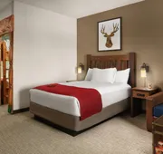Great Wolf Lodge Grapevine hotel detail image 7
