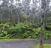 Volcano Forest Inn hotel detail image 4