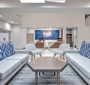 Holiday Inn Express Hotel & Suites DALLAS WEST by IHG hotel detail image 4