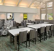 Residence Inn by Marriott Detroit Livonia hotel detail image 3