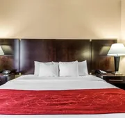 Comfort Suites Waycross hotel detail image 7