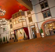 Grand Bohemian Lodge Asheville, Autograph Collection® hotel detail image 3