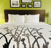 Sleep Inn & Suites Round Rock - Austin North hotel detail image 7