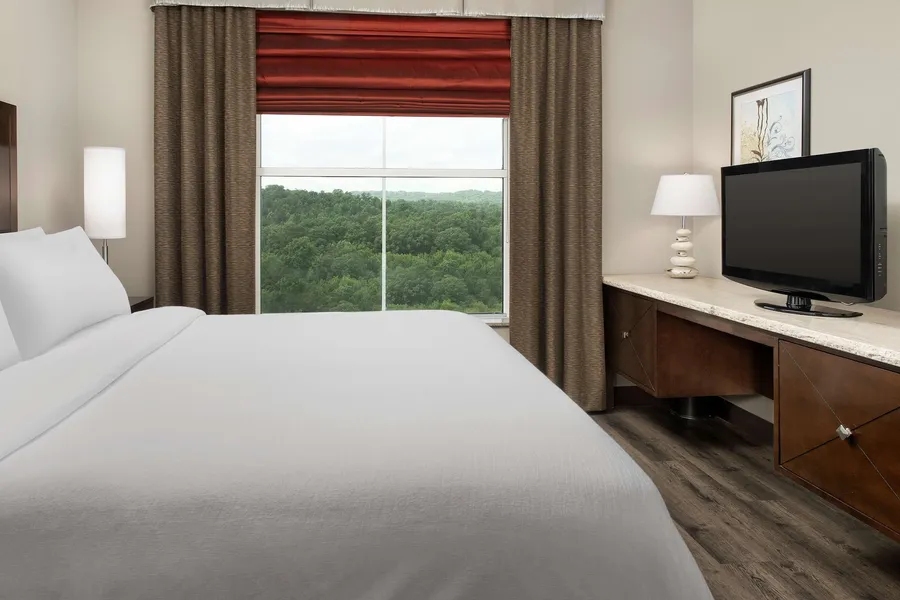 Embassy Suites by Hilton Birmingham Hoover hotel detail image 6