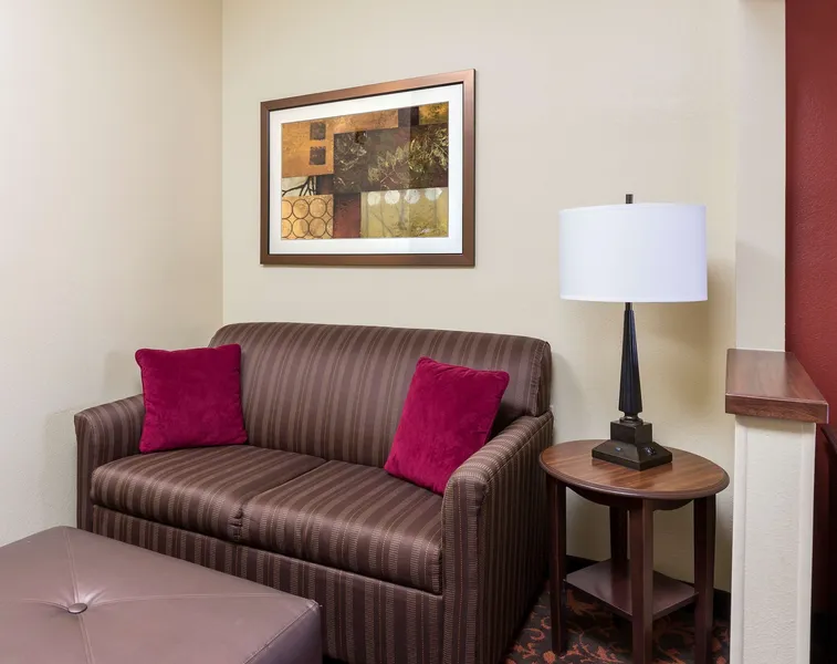 Hampton Inn Lubbock hotel detail image 6