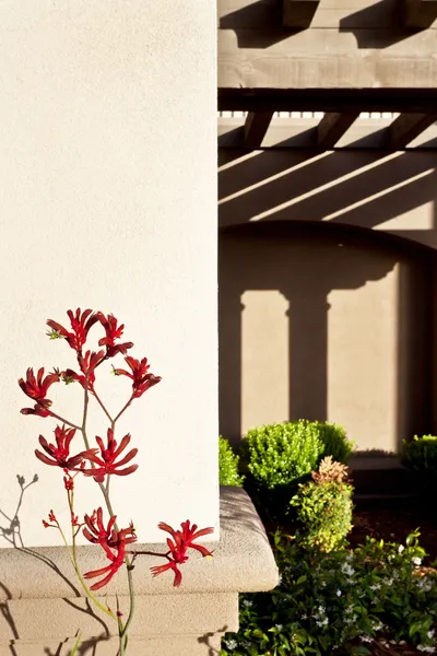 Hampton Inn & Suites Arroyo Grande/Pismo Beach Area, CA hotel detail image 2