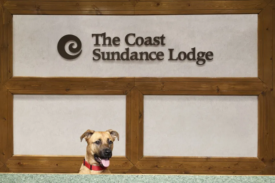 Sundance Lodge hotel detail image 2