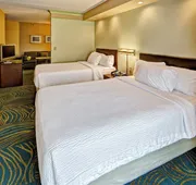 SpringHill Suites Marriott Norfolk Old Dominion University hotel detail image 5
