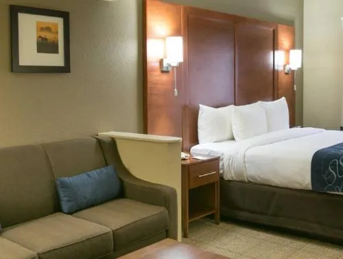Comfort Suites Austin NW Lakeline hotel detail image 2