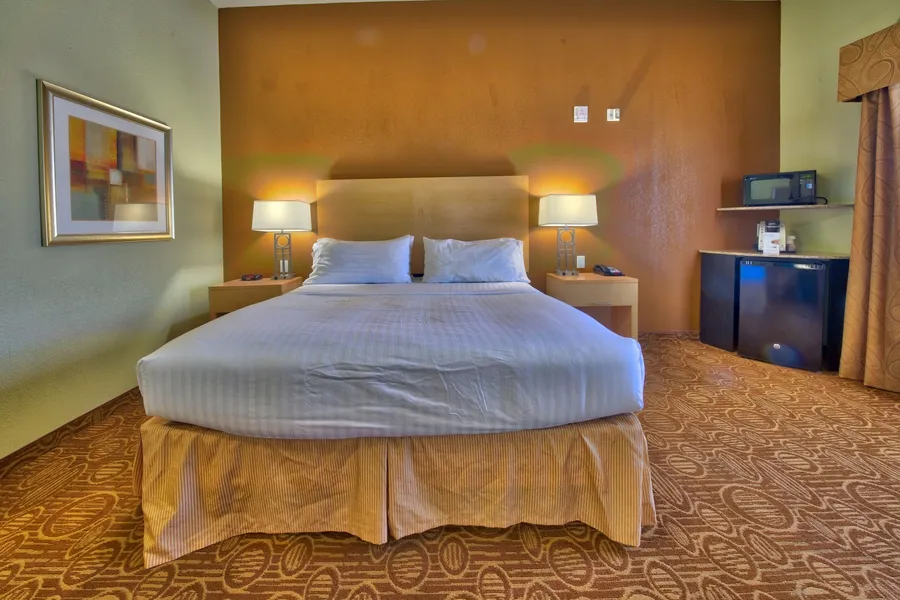 Holiday Inn Express Hotel Suites Lubbock Southwest-Wolfforth by IHG hotel detail image 6