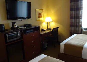 Best Western Plus Arena Hotel hotel thumbnail 7