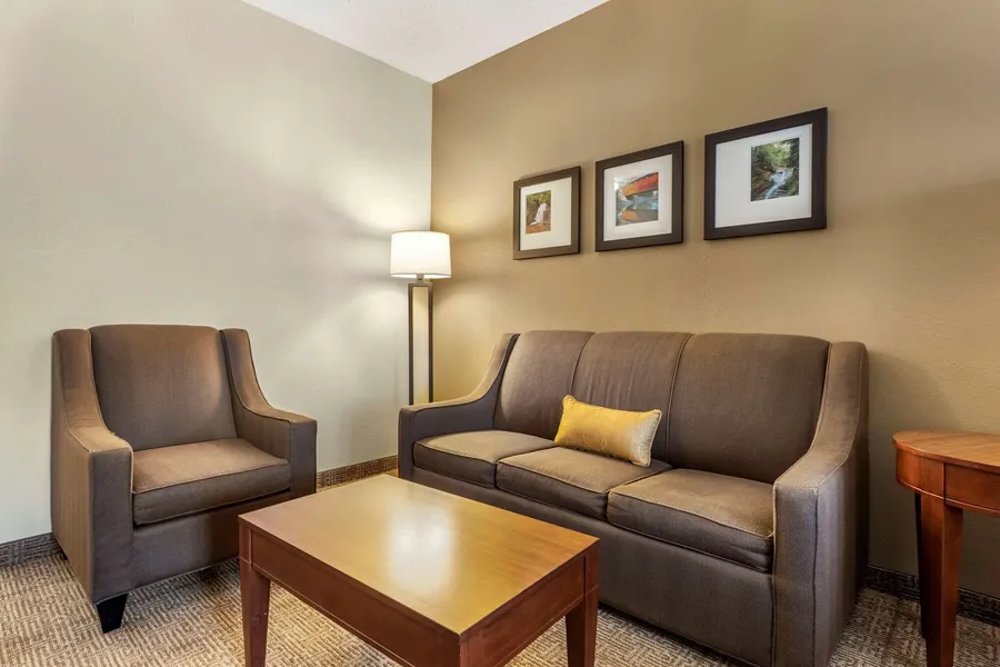 Comfort Inn & Suites Streetsboro - Kent hotel detail image 6