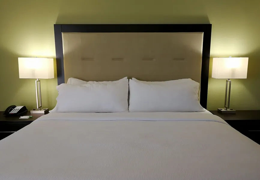 Holiday Inn Corpus Christi Downtown Marina by IHG hotel detail image 6