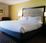 Holiday Inn Corpus Christi Downtown Marina by IHG hotel detail image 7