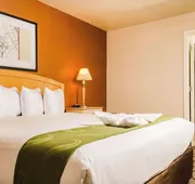 Quality Inn & Suites Lathrop - South Stockton hotel detail image 3