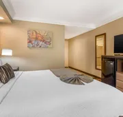 Best Western Plus Wine Country Inn & Suites hotel detail image 7