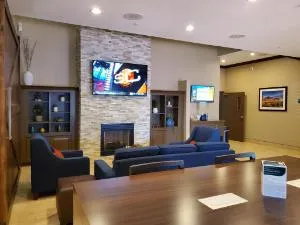 City Express by Marriott Tempe hotel thumbnail 3